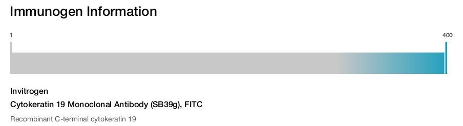 Cytokeratin 19 Monoclonal Antibody (SB39g), FITC