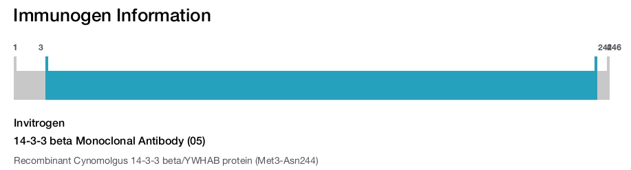 14-3-3 beta Monoclonal Antibody (05)