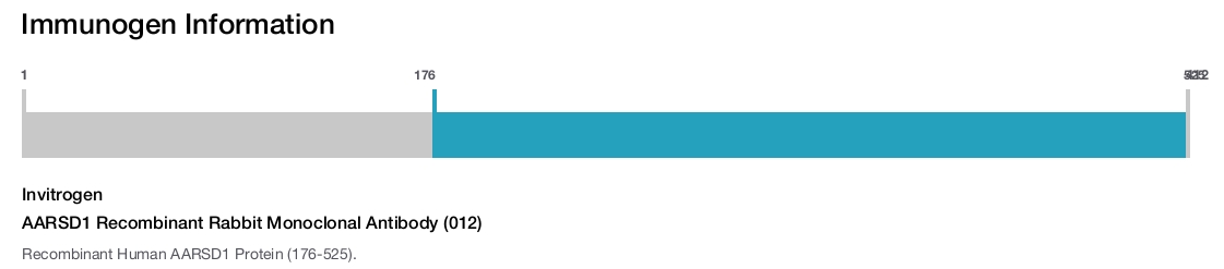 AARSD1 Recombinant Rabbit Monoclonal Antibody (012)