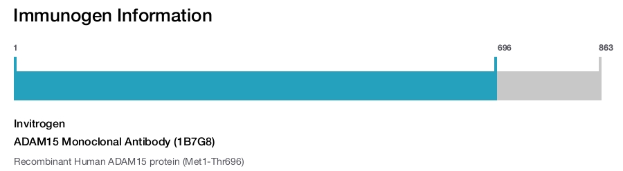 ADAM15 Monoclonal Antibody (1B7G8)