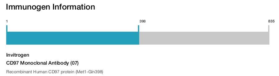 CD97 Monoclonal Antibody (07)