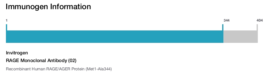 RAGE Monoclonal Antibody (02)
