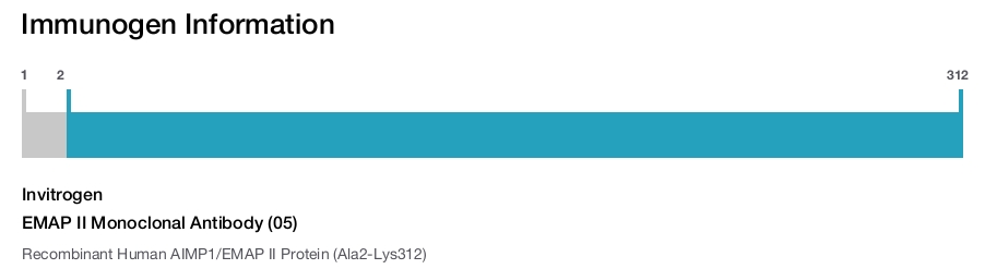 EMAP II Monoclonal Antibody (05)
