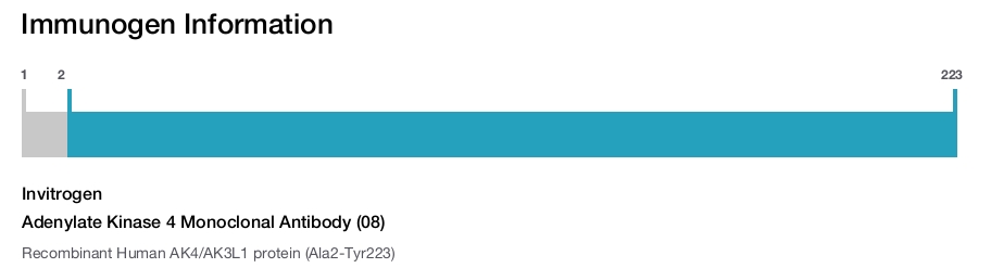 Adenylate Kinase 4 Monoclonal Antibody (08)