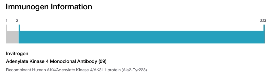 Adenylate Kinase 4 Monoclonal Antibody (09)