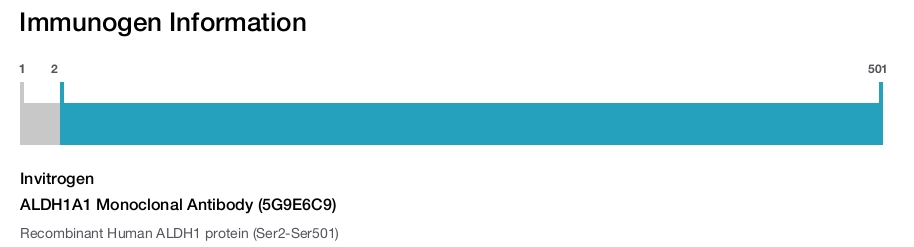 ALDH1A1 Monoclonal Antibody (5G9E6C9)