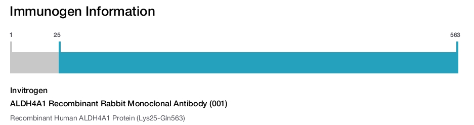 ALDH4A1 Recombinant Rabbit Monoclonal Antibody (001)