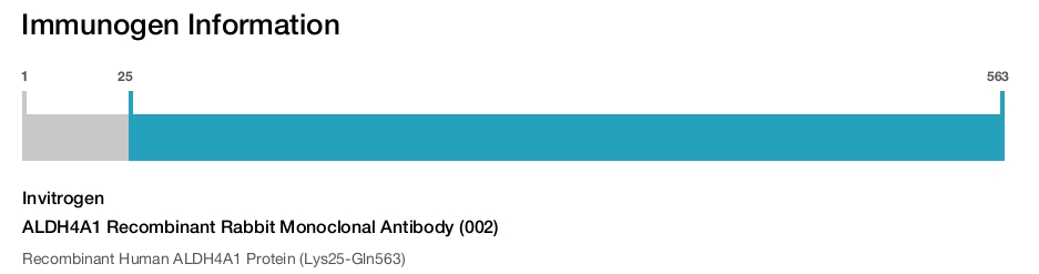 ALDH4A1 Recombinant Rabbit Monoclonal Antibody (002)