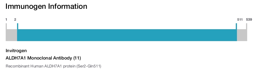 ALDH7A1 Monoclonal Antibody (11)