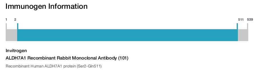 ALDH7A1 Recombinant Rabbit Monoclonal Antibody (101)