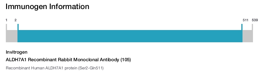ALDH7A1 Recombinant Rabbit Monoclonal Antibody (105)