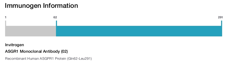 ASGR1 Monoclonal Antibody (02)