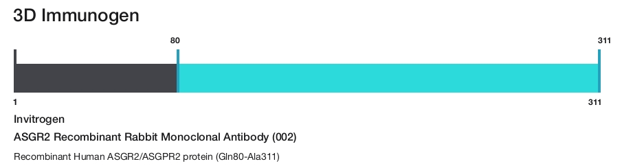 ASGR2 Recombinant Rabbit Monoclonal Antibody (002)