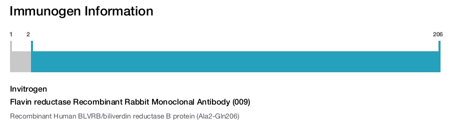 Flavin reductase Recombinant Rabbit Monoclonal Antibody (009)