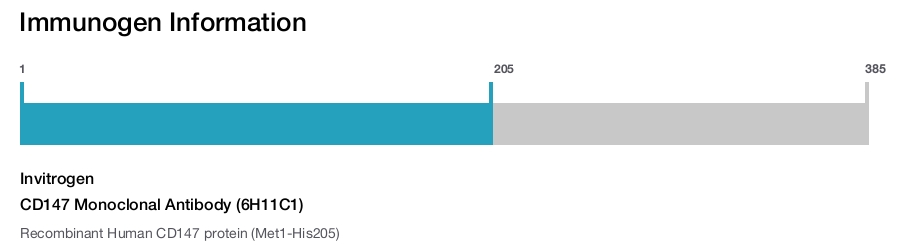 CD147 Monoclonal Antibody (6H11C1)