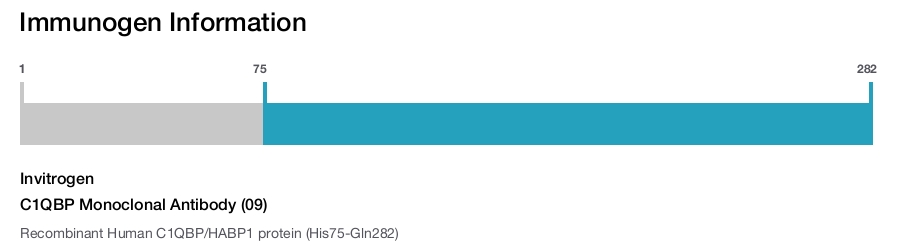 C1QBP Monoclonal Antibody (09)