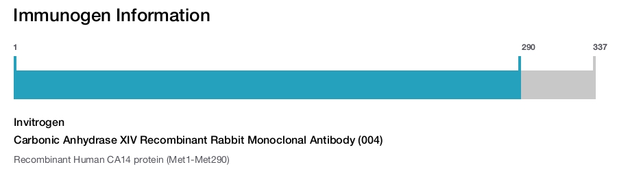Carbonic Anhydrase XIV Recombinant Rabbit Monoclonal Antibody (004)