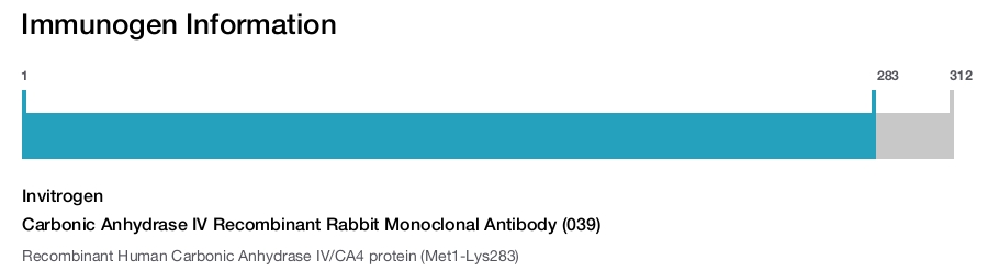 Carbonic Anhydrase IV Recombinant Rabbit Monoclonal Antibody (039)