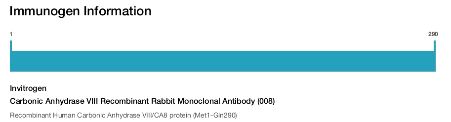 Carbonic Anhydrase VIII Recombinant Rabbit Monoclonal Antibody (008)