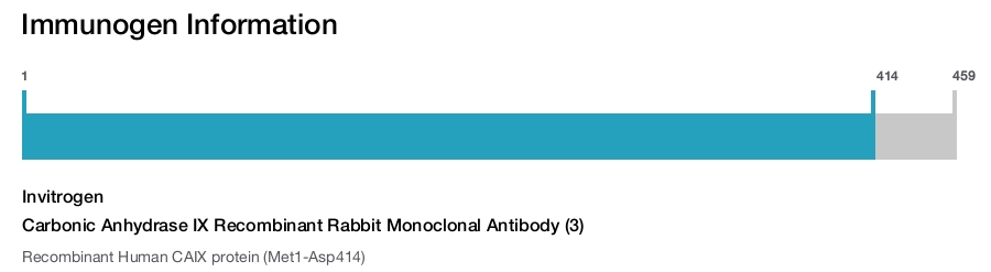 Carbonic Anhydrase IX Recombinant Rabbit Monoclonal Antibody (3)