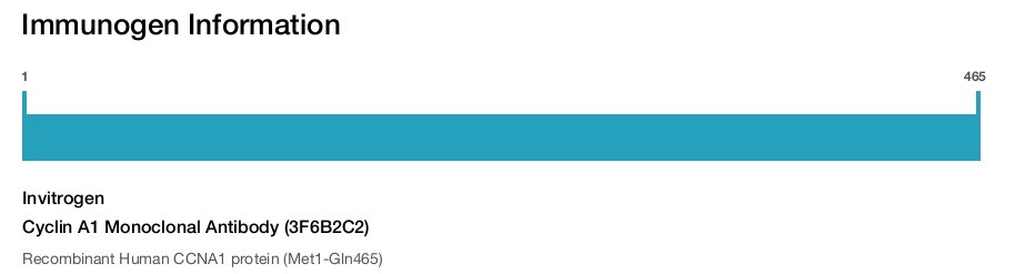 Cyclin A1 Monoclonal Antibody (3F6B2C2)