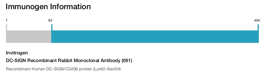 DC-SIGN Recombinant Rabbit Monoclonal Antibody (061)