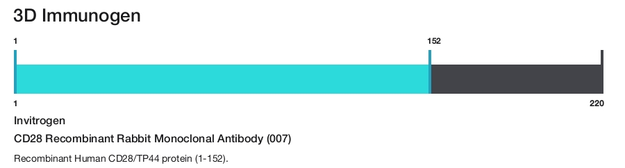 CD28 Recombinant Rabbit Monoclonal Antibody (007)