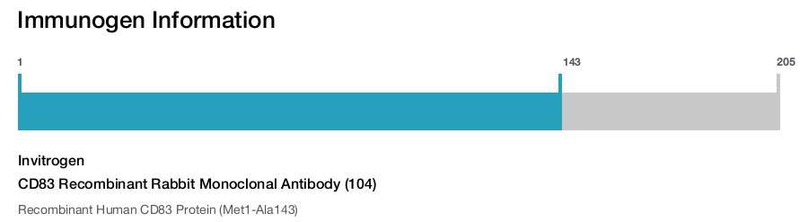 CD83 Recombinant Rabbit Monoclonal Antibody (104)