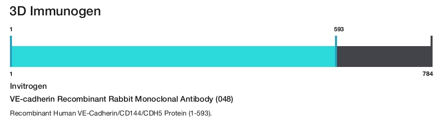 VE-cadherin Recombinant Rabbit Monoclonal Antibody (048)