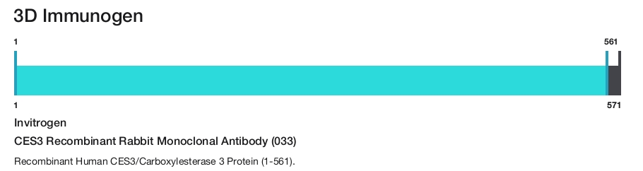 CES3 Recombinant Rabbit Monoclonal Antibody (033)