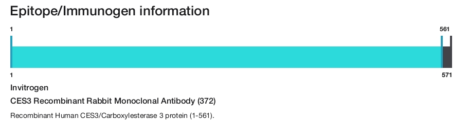 CES3 Recombinant Rabbit Monoclonal Antibody (372)
