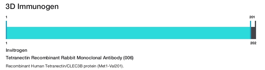 Tetranectin Recombinant Rabbit Monoclonal Antibody (006)