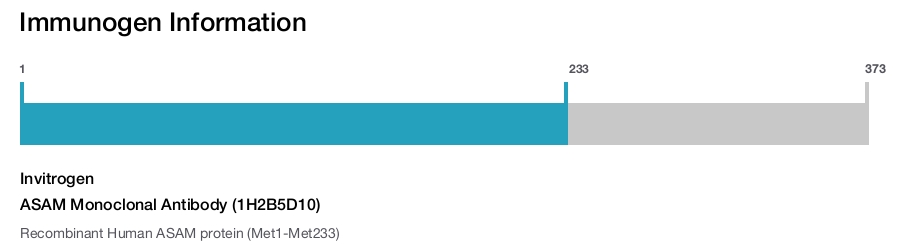 ASAM Monoclonal Antibody (1H2B5D10)
