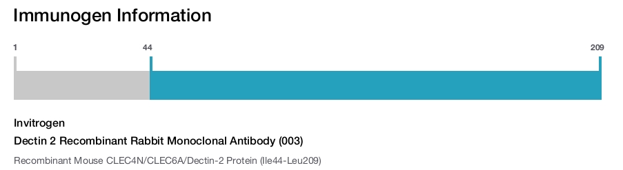 Dectin 2 Recombinant Rabbit Monoclonal Antibody (003)