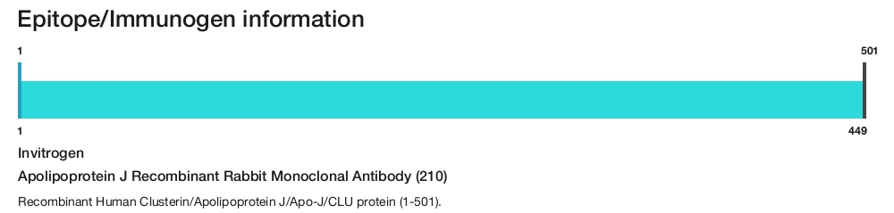 Apolipoprotein J Recombinant Rabbit Monoclonal Antibody (210)