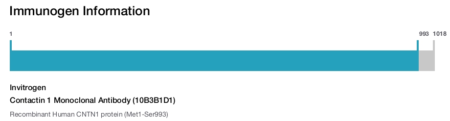 Contactin 1 Monoclonal Antibody (10B3B1D1)