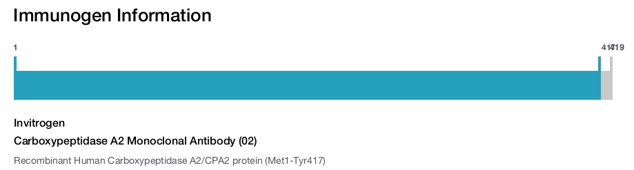 Carboxypeptidase A2 Monoclonal Antibody (02)