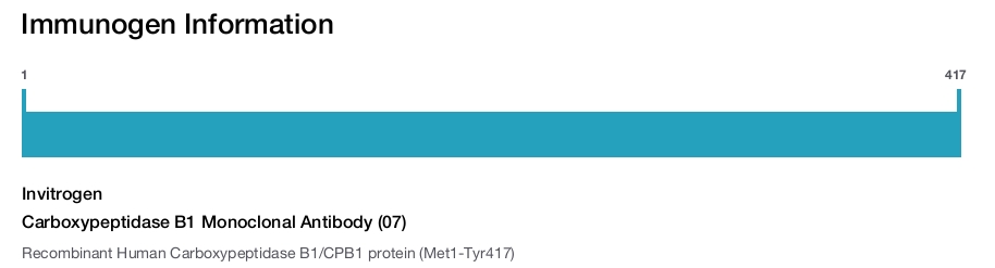Carboxypeptidase B1 Monoclonal Antibody (07)