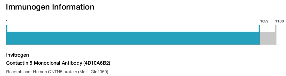 Contactin 5 Monoclonal Antibody (4D10A6B2)