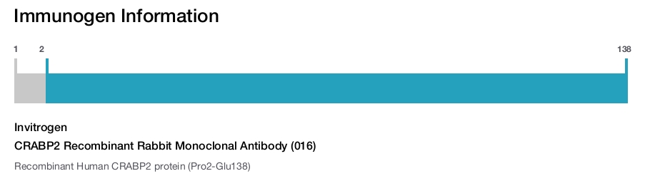 CRABP2 Recombinant Rabbit Monoclonal Antibody (016)