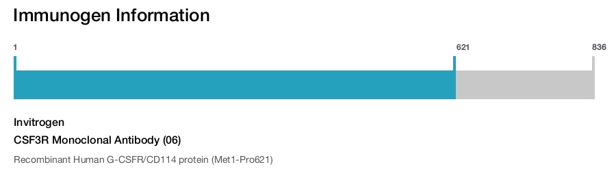 CSF3R Monoclonal Antibody (06)