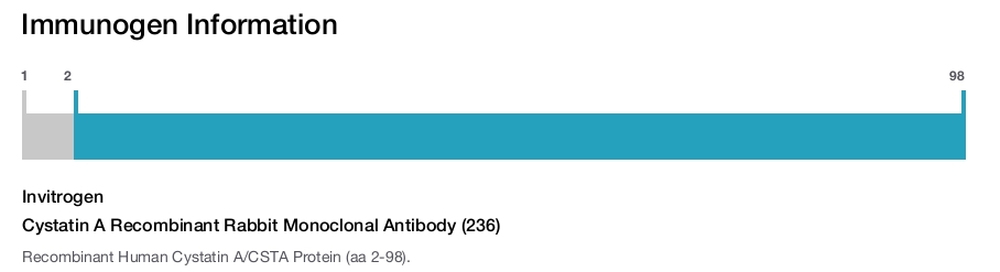 Cystatin A Recombinant Rabbit Monoclonal Antibody (236)