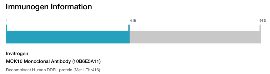 MCK10 Monoclonal Antibody (10B6E5A11)