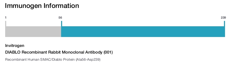 DIABLO Recombinant Rabbit Monoclonal Antibody (001)