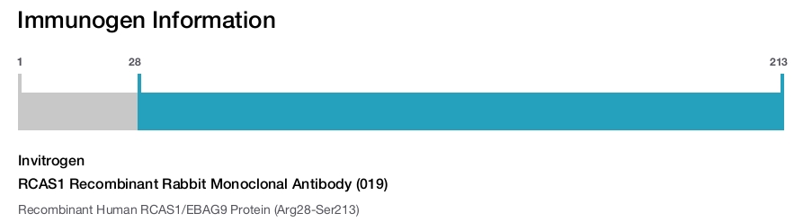 RCAS1 Recombinant Rabbit Monoclonal Antibody (019)