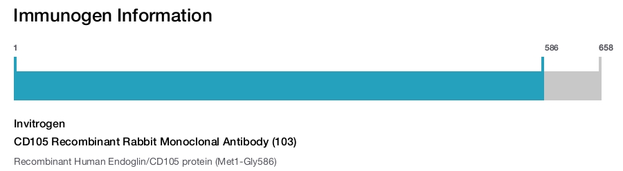 CD105 Recombinant Rabbit Monoclonal Antibody (103)
