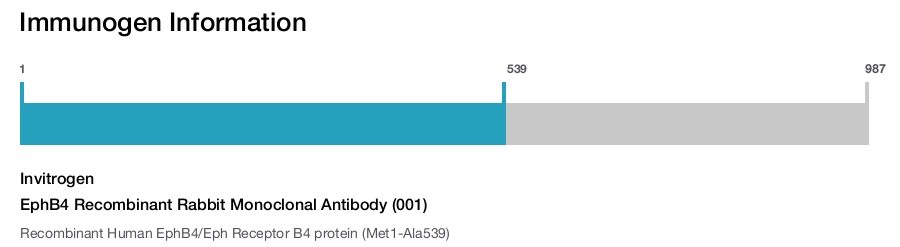 EphB4 Recombinant Rabbit Monoclonal Antibody (001)