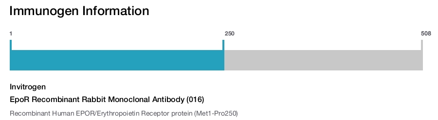EpoR Recombinant Rabbit Monoclonal Antibody (016)