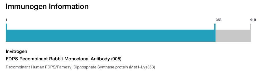FDPS Recombinant Rabbit Monoclonal Antibody (005)