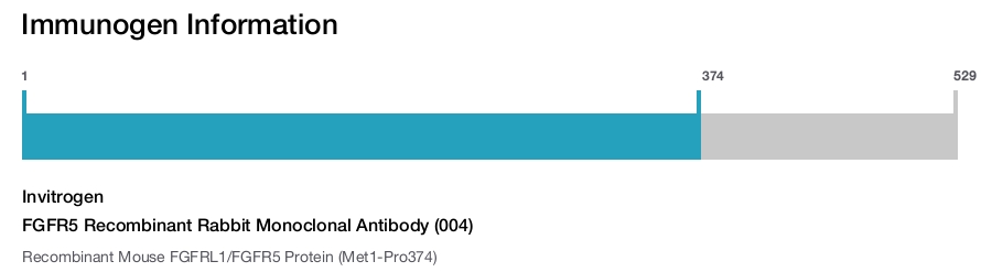 FGFR5 Recombinant Rabbit Monoclonal Antibody (004)